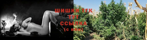 Альфа ПВП Володарск