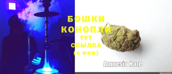 шишки Волоколамск