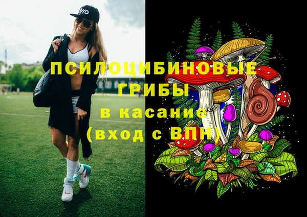 ешки Верхний Тагил