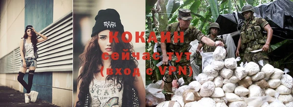 шишки Волоколамск